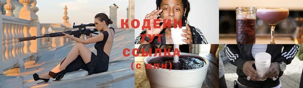 шишки Абаза