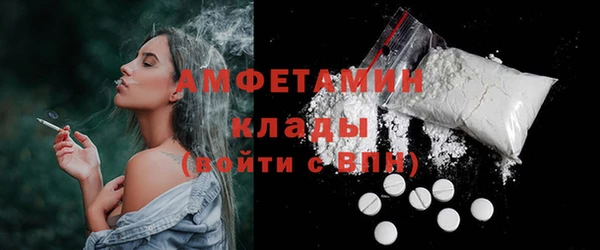 шишки Абаза