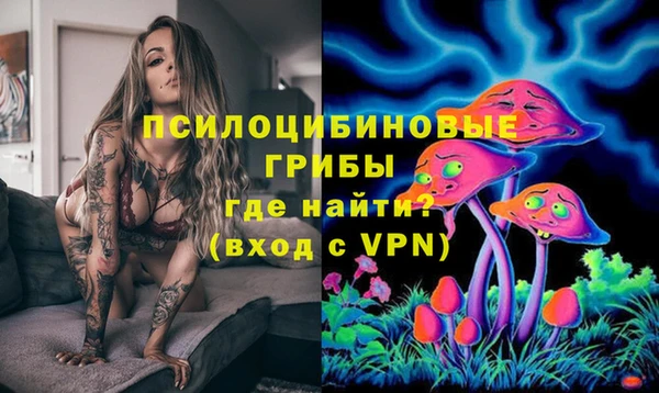 герыч Алзамай