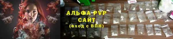 шишки Абаза