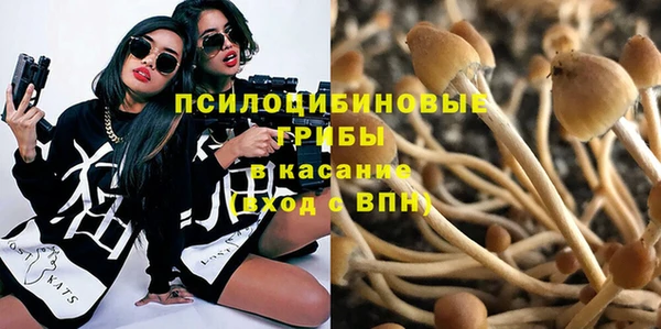 PSILOCYBIN Алексин